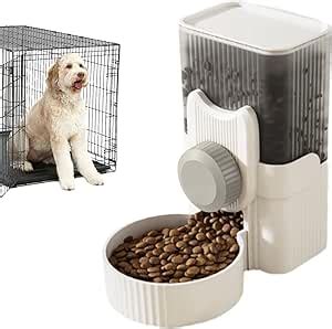 Mangeoire Automatique Pour Cage Bol Suspendu Pour Aliments Pour