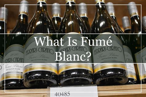 Your Essential Guide To Pinot Blanc Wine Winepros