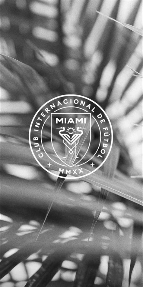 Inter Miami Inter Miami Cave HD Phone Wallpaper Pxfuel