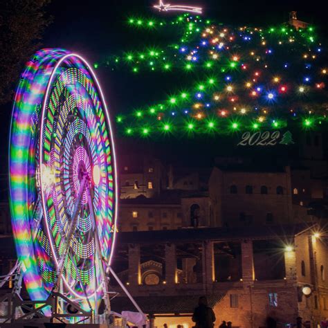 The biggest Christmas tree of the world in Gubbio | Secret Umbria