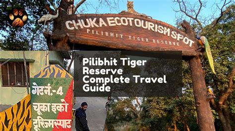 Chuka Beach Pilibhit Tiger Reserve In Uttar Pradesh Complete Travel Guide And Rooms Tour Youtube