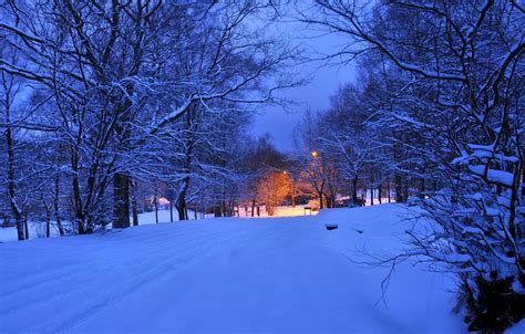 Wallpaper Winter Road Light Snow Trees Night Lights The Evening