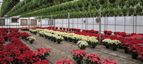 Controlling The Unknown Greenhouse Management