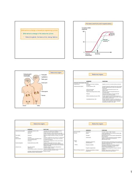 Lecture 17 6 Hormones Download Free Pdf Glycolysis Hormone