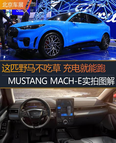 2020北京车展丨这匹野马不吃草 充电就能跑 福特mustang Mach E实拍图解搜狐汽车搜狐网