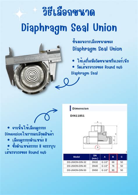 Union Diaphragm Seal For Pressure Gauge