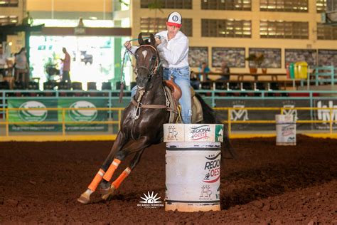 Cavalo Árabe exibe destreza e habilidade na 3ª etapa da Copa ABCCA