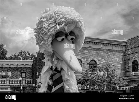 Sesame Street Theme Park Big Bird Black And White Stock Photos And Images