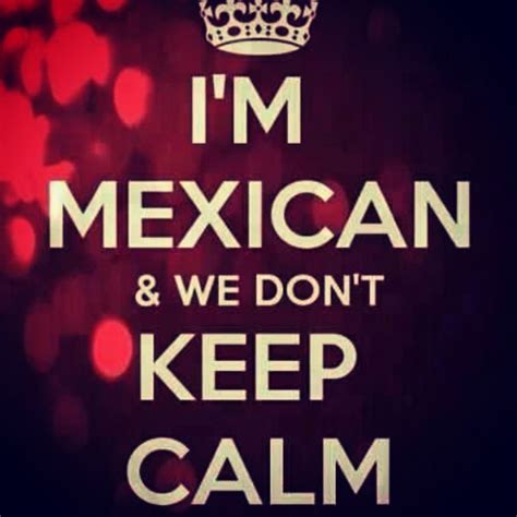 Mexican Pride Quotes. QuotesGram