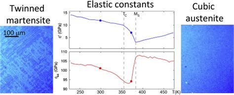 Temperature Dependence Of Elastic Properties In Austenite And