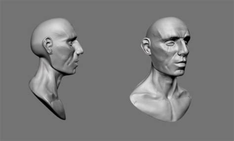 Sculpt 3d Bust Head Face 3d Head Model Realistic Face For 3d Printing By Nobby Sapphire Fiverr