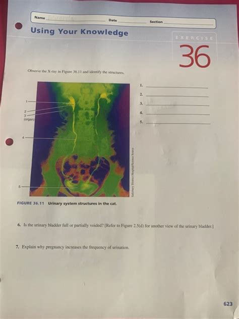 Solved Name Date Section Using Your Knowledge EXERCISE Chegg