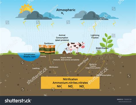 Hydrological Cycle Process Visually Learning Course Stock Vector ...