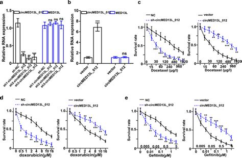 Influence Of Circmed13l012 On The Malignant Behavior Of Nsclc Cell Download Scientific Diagram