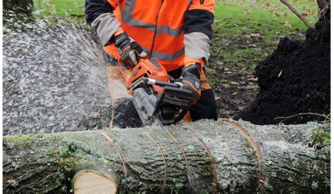 Alert Warning Issued Over Chainsaws With Trees Down During Storm Jocelyn Derry Now