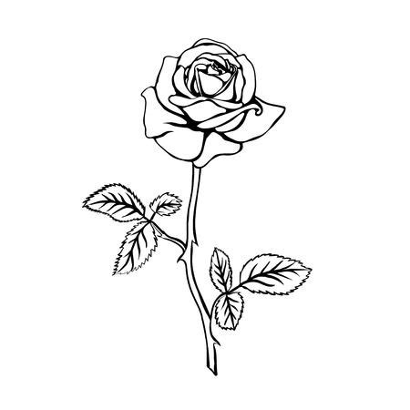 rose clipart outline 10 free Cliparts | Download images on Clipground 2024