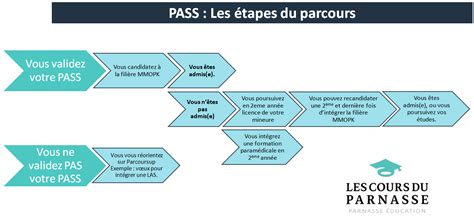 Hippocast Pass Et Las Le Guide Ultime Pour Choisir Sa Prépa Médecine