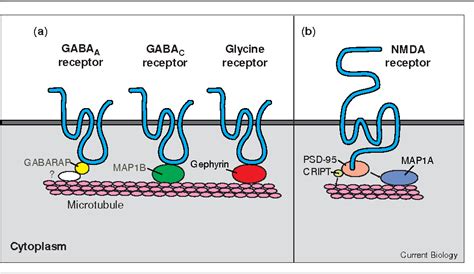 Protein Receptor Map