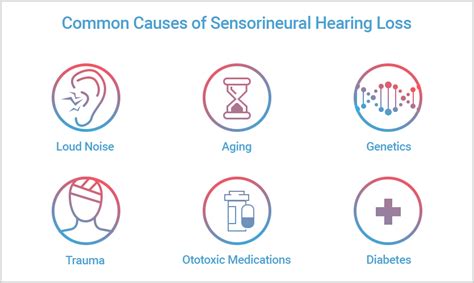 Sensorineural Hearing Loss [Causes, Symptoms, Treatment] | ZipHearing