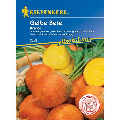 Kiepenkerl Gelbe Bete Boldor Beta Vulgaris Var Vulgaris Kaufen Bei OBI