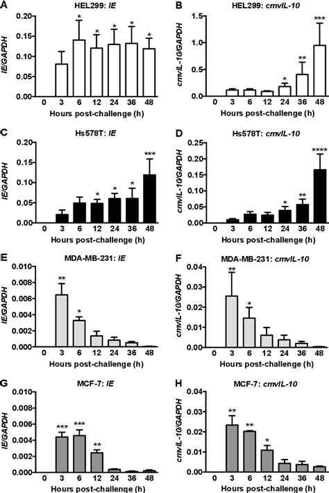 Figure 1 From Pdgfrα Enhanced Infection Of Breast Cancer Cells With