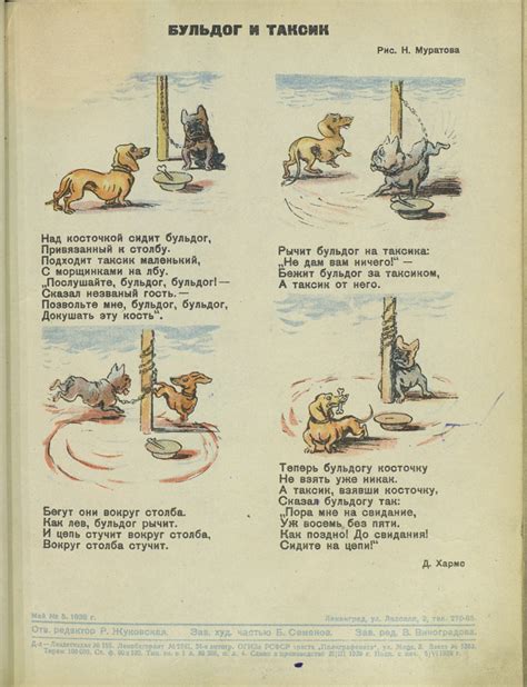 живность :: собаки :: гиф анимация (гифки - ПРИКОЛЬНЫЕ gif анимашки ...