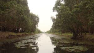 Tràm Chim National Park – Dong Thap Province, Vietnam