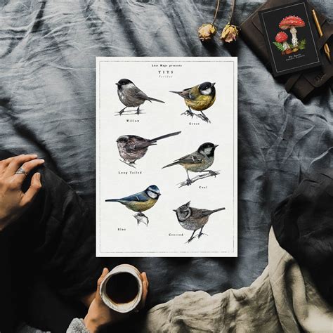 British Tits Garden Birds Artwork Print By Lást Maps