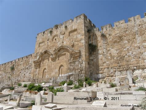 Lens On A Fertile Land Israel Photography Gates Of Jerusalem Old