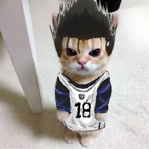 Pin by zxccold on блю лок | Recent anime, Cute icons, Anime funny