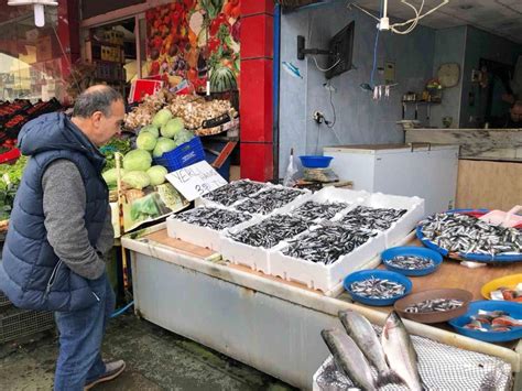 Karadenizde Hamsi Bollu U S R Yor Fiyatlar Tl Seviyesinde