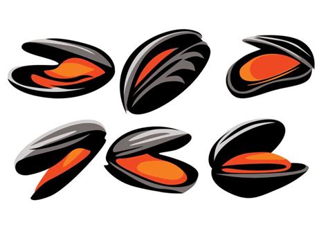 Mussel Vector 113771 Vector Art At Vecteezy