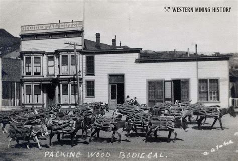 Bodie California Western Mining History
