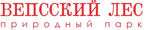 Вепсский лес - природный парк в Ленинградской области