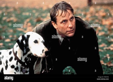 Original Film Title: 101 DALMATIANS. English Title: 101 DALMATIANS ...