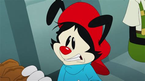 Animaniacs 2020 Season 3 Image Fancaps