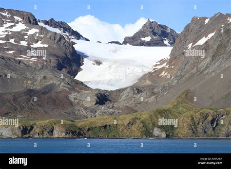South Georgia Glacial Landscape Stock Photo Alamy