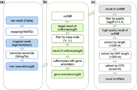 The Workflow Of LncRNA Analysis And Prediction A Initial Assembly