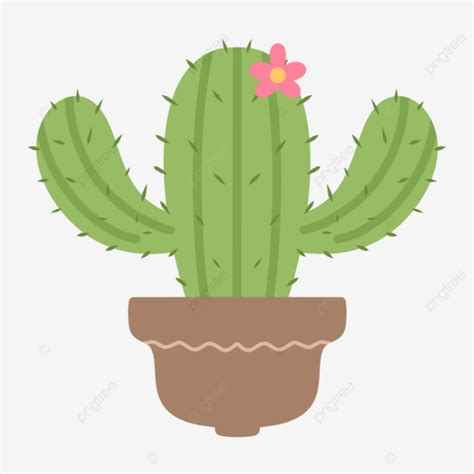 Linda Planta De Cactus Verde Con Ilustración Gráfica Digital De Flores