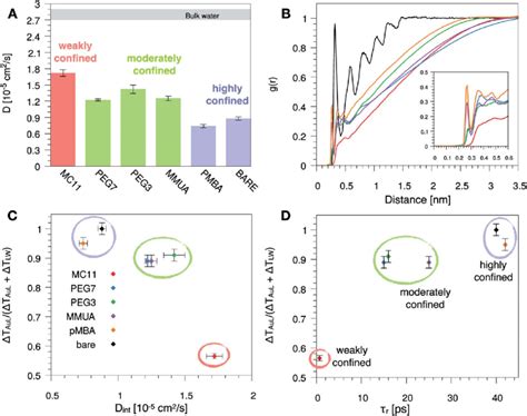 A Self Diffusion Coefficient Of The Water Molecules Confined At The