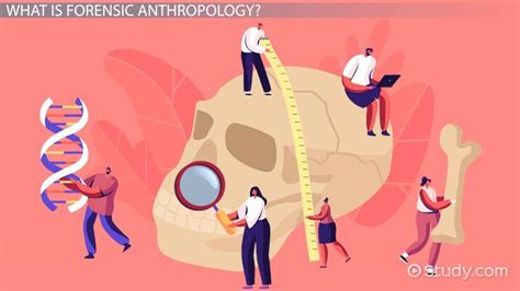 Forensic Anthropology Cases