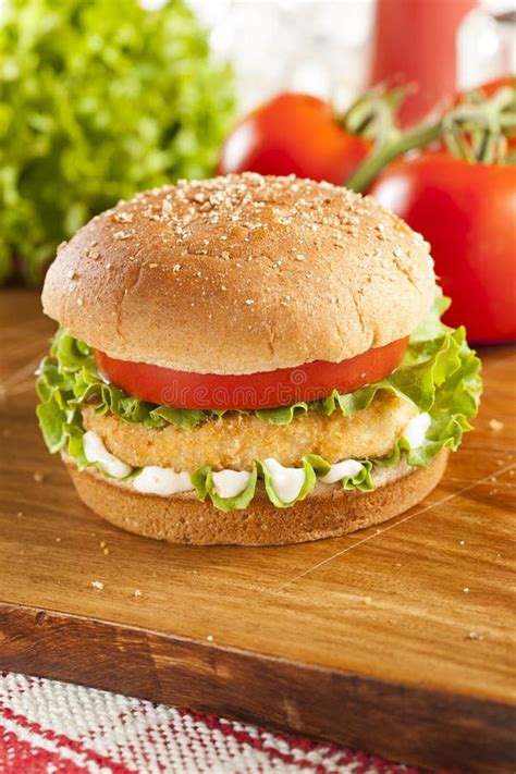 Breaded Chicken Patty Sandwich on a Bun Stock Image - Image of american ...