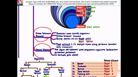 Biologi Kssm T5 Bab 8 Biodiversiti Youtube