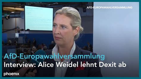 Afd Europawahlprogramm Interview Mit Alice Weidel Youtube