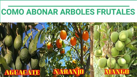 Details 48 árboles frutales y sus nombres Abzlocal mx