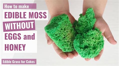 How To Make Edible Moss Without Eggs And Honey Edible Grass For Cakes