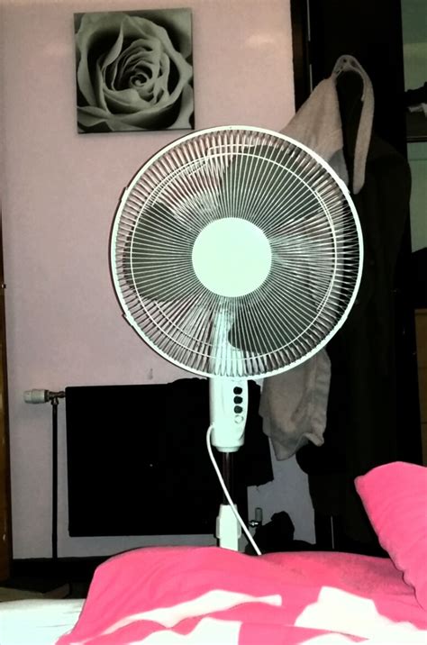 Meet My Biggest Fan Mark Hobbs Chepstow Flickr