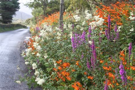 Kylemore Abbey And Victorian Walled Gardens Tourist Attraction Ireland