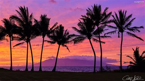 Wyspa Maui Hawaje Palmy Chmury Morze Zachód