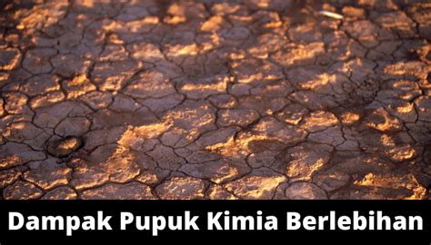 Ini Adalah Alasan Kenapa Pupuk Kimia Berbahaya